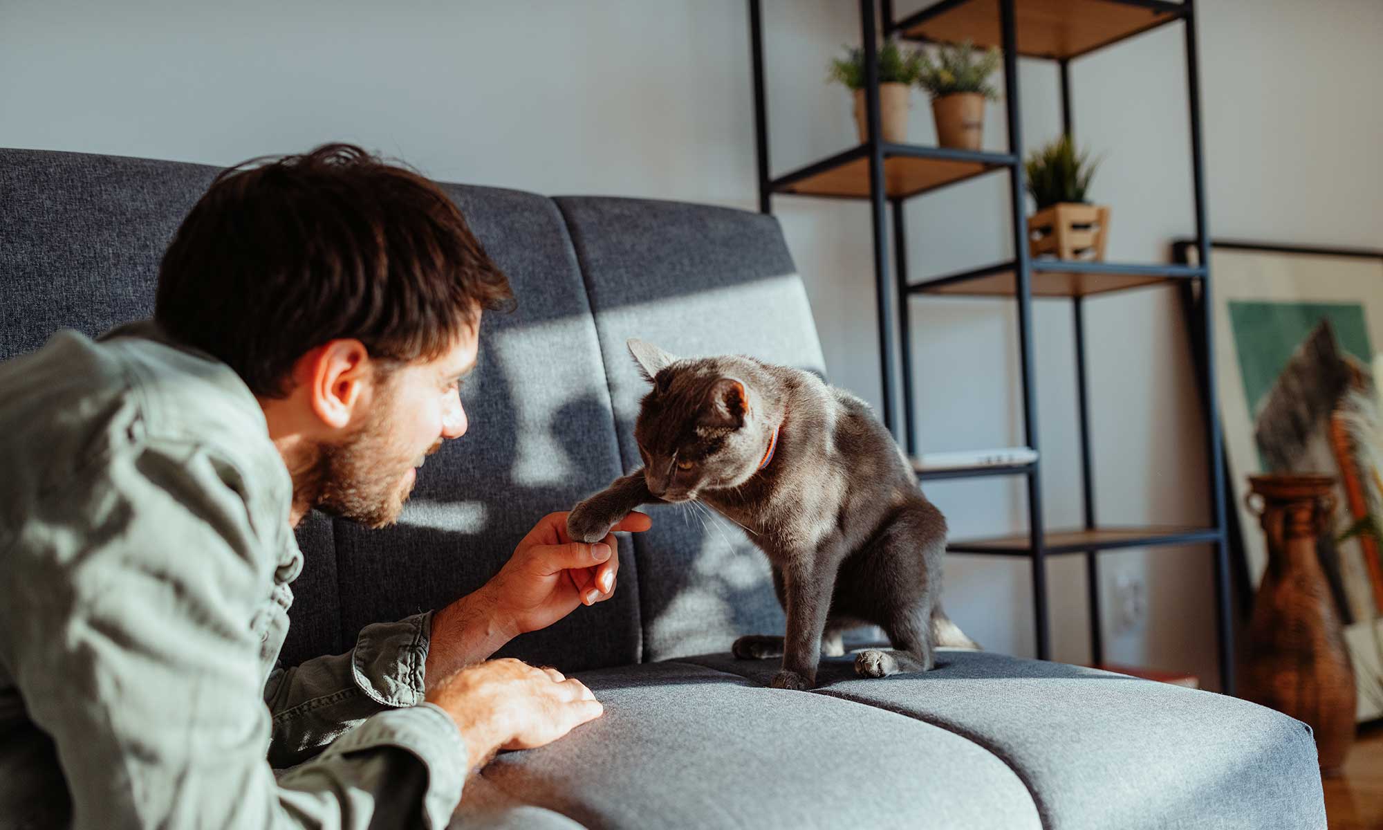 A man with his grey cat