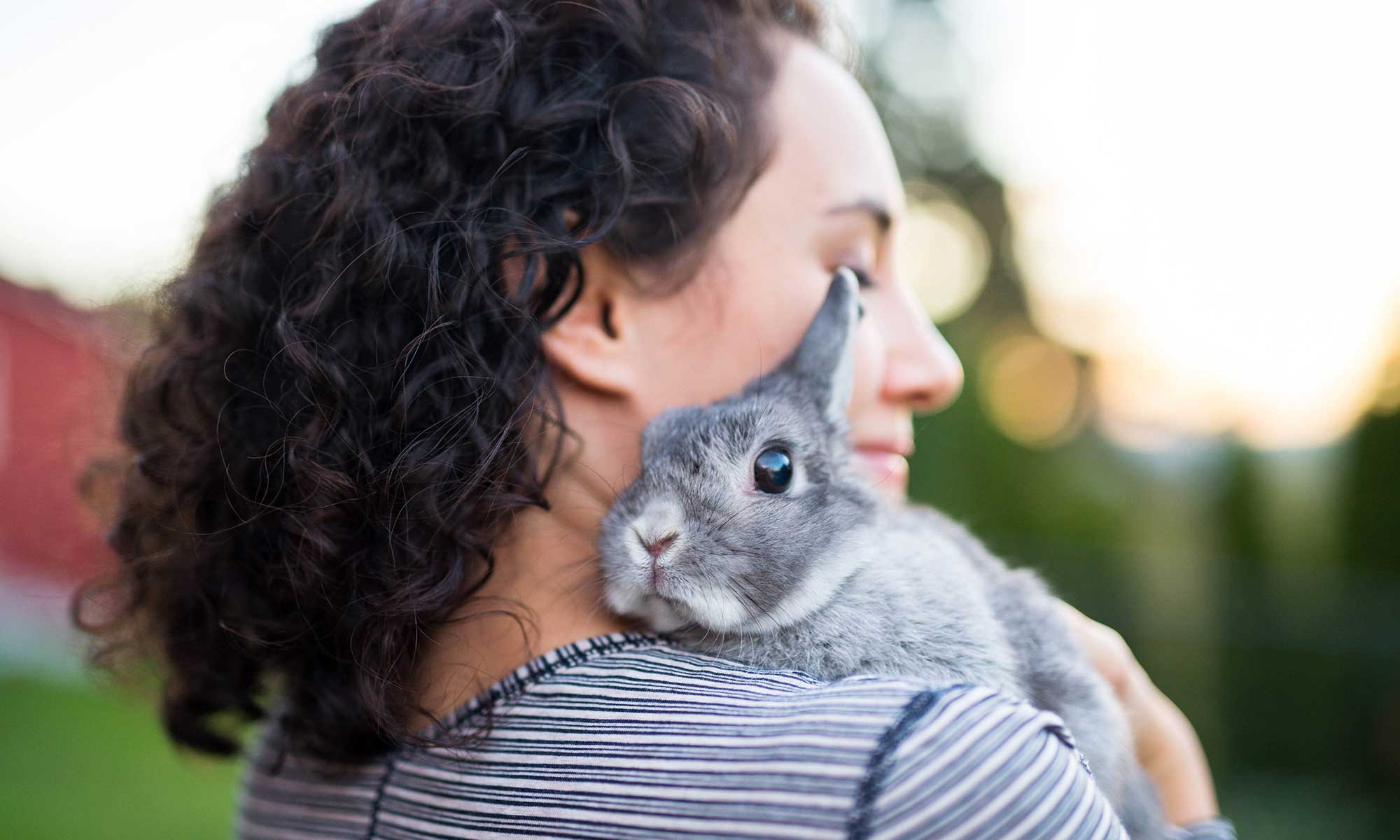 A rabbit being held on a shoulder