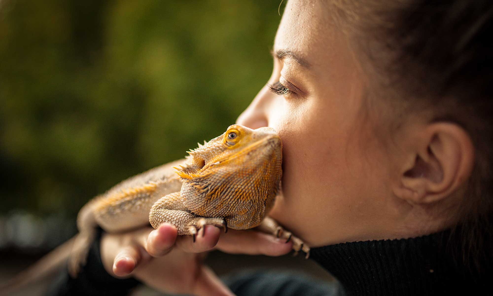 A horned dragon